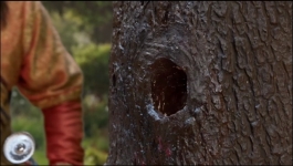 Tenali Rama - 20th March 2025